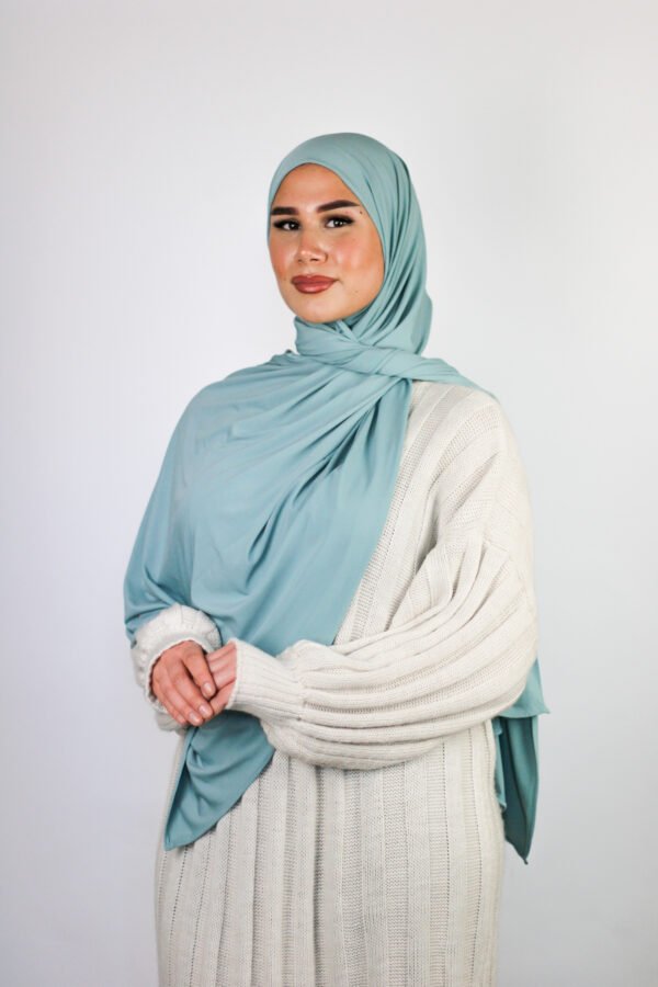 Premium Jersey  Aqua Blue