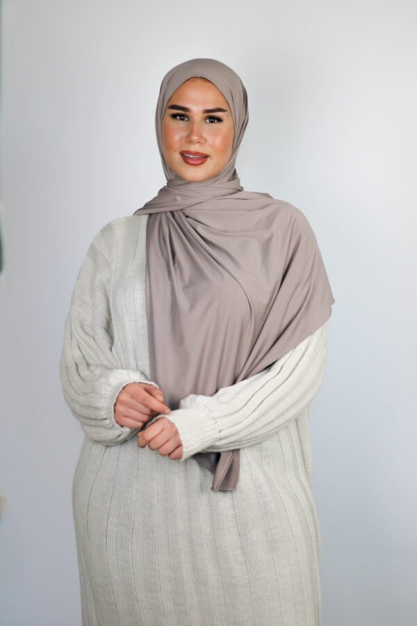 Premium Jersey - Taupe